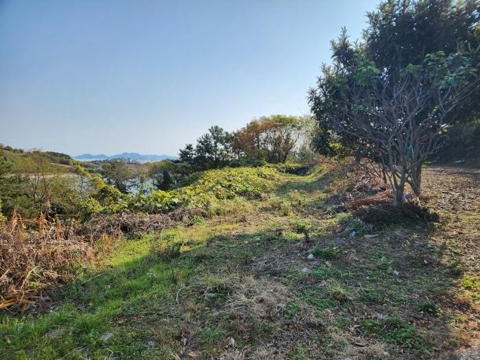 전라남도 고흥군 영남면 남열리 1230 전 경매 사진 2