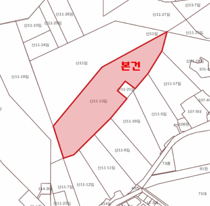 경기도 과천시 관문동 산11-13 임야 경매 사진 15
