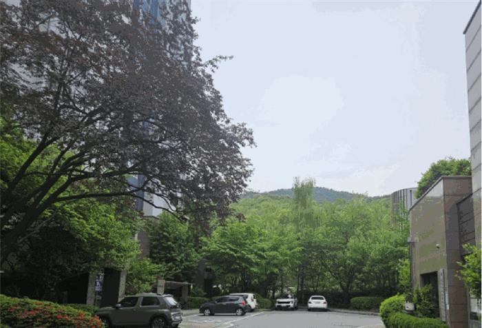 경기도 과천시 관문동 산11-13 임야 경매 사진 4