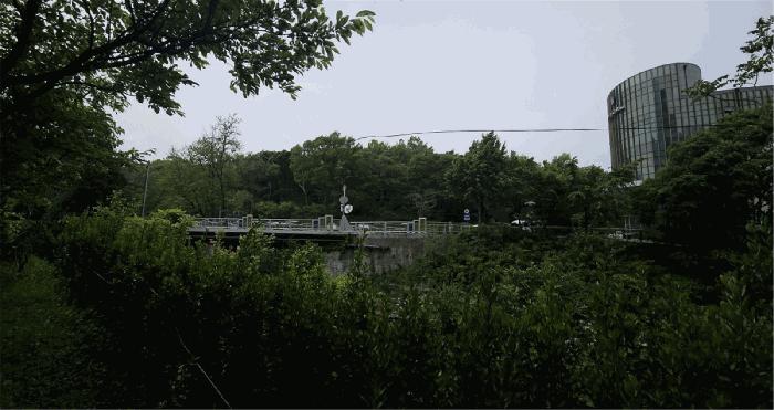 경기도 과천시 관문동 산11-13 임야 경매 사진 5