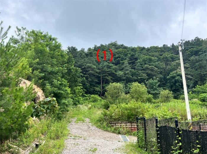 경기도 여주시 점동면 삼합리 51-55 임야 경매 사진 4