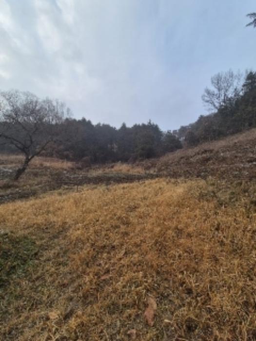 전라남도 곡성군 석곡면 염곡리 1171 전 경매 사진 7
