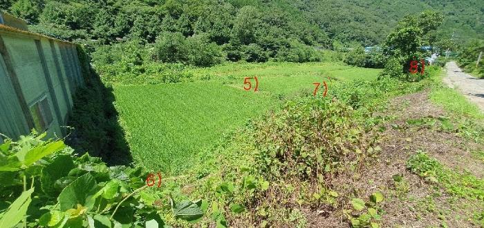 경상남도 창원시 마산합포구 진동면 동전리 1064 전 경매 사진 12