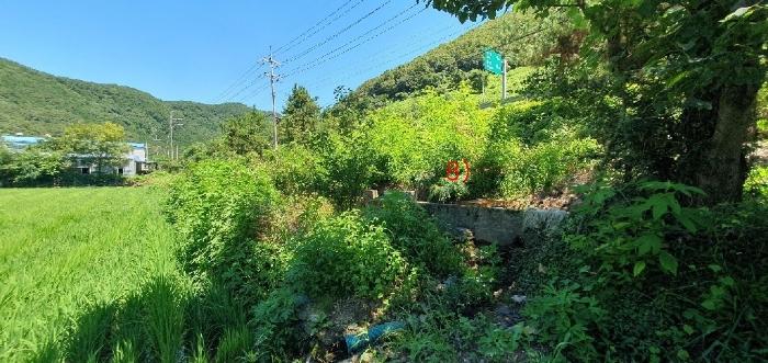 경상남도 창원시 마산합포구 진동면 동전리 1064 전 경매 사진 18