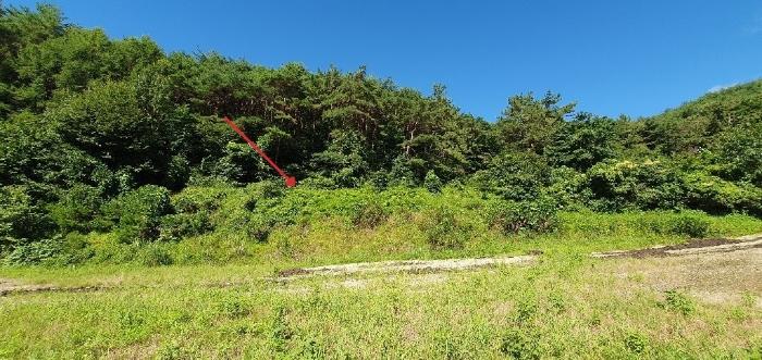 경상남도 창원시 마산합포구 진동면 동전리 1064 전 경매 사진 23