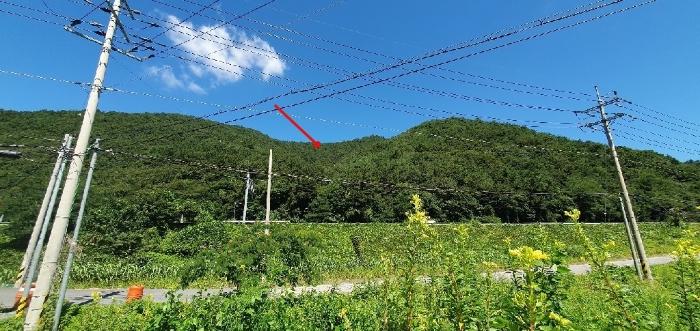 경상남도 창원시 마산합포구 진동면 동전리 1064 전 경매 사진 28
