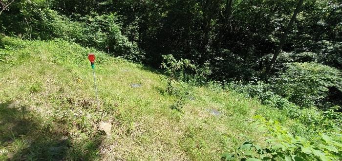 경상남도 창원시 마산합포구 진동면 동전리 1064 전 경매 사진 30