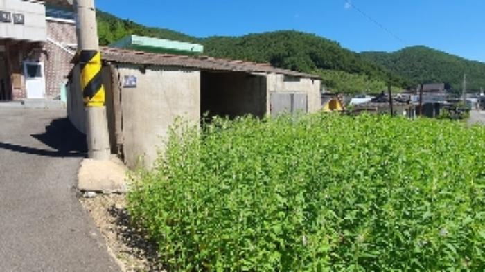 경상남도 창원시 마산합포구 진동면 동전리 1064 전 경매 사진 36