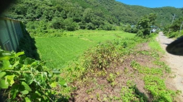 경상남도 창원시 마산합포구 진동면 동전리 1064 전 경매 사진 37