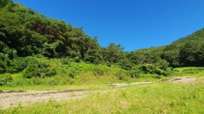 경상남도 창원시 마산합포구 진동면 동전리 1064 전 경매 사진 44