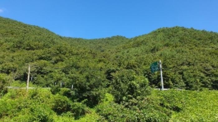 경상남도 창원시 마산합포구 진동면 동전리 1064 전 경매 사진 46