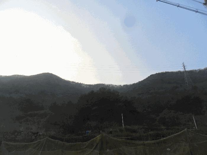경상남도 창원시 마산합포구 진동면 태봉리 산30 임야 경매 사진 10