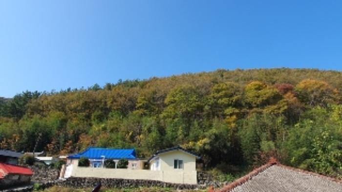 경상남도 창원시 마산합포구 진동면 태봉리 산30 임야 경매 사진 14