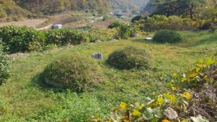 경상남도 창원시 마산합포구 진동면 태봉리 산30 임야 경매 사진 18