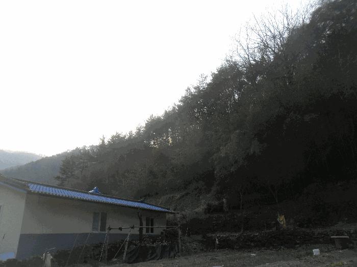 경상남도 창원시 마산합포구 진동면 태봉리 산30 임야 경매 사진 6