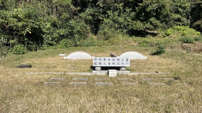 전라남도 무안군 몽탄면 양장리 409-1 임야 경매 사진 7