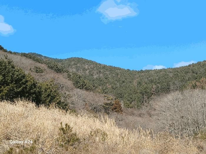 전라남도 여수시 돌산읍 신복리 산460 임야 경매 사진 2