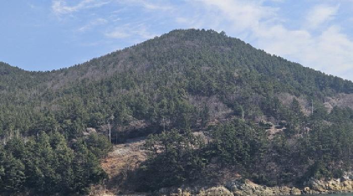 전라남도 여수시 돌산읍 신복리 산460 임야 경매 사진 4