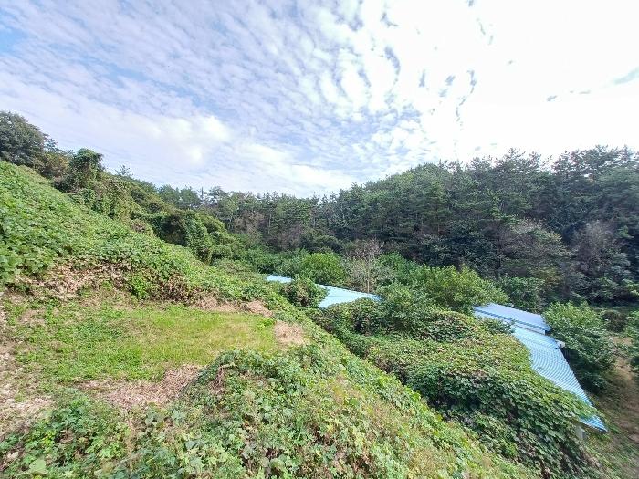 경상남도 진주시 지수면 압사리 산101 임야 경매 사진 1