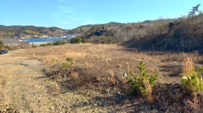 경상남도 거제시 장목면 장목리 산126-8 임야 경매 사진 12