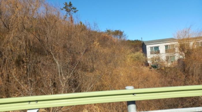 경상남도 거제시 장목면 장목리 산126-8 임야 경매 사진 27