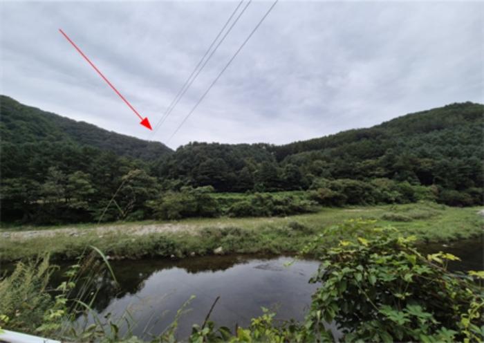 경기도 가평군 북면 도대리 산113 임야 경매 사진 1