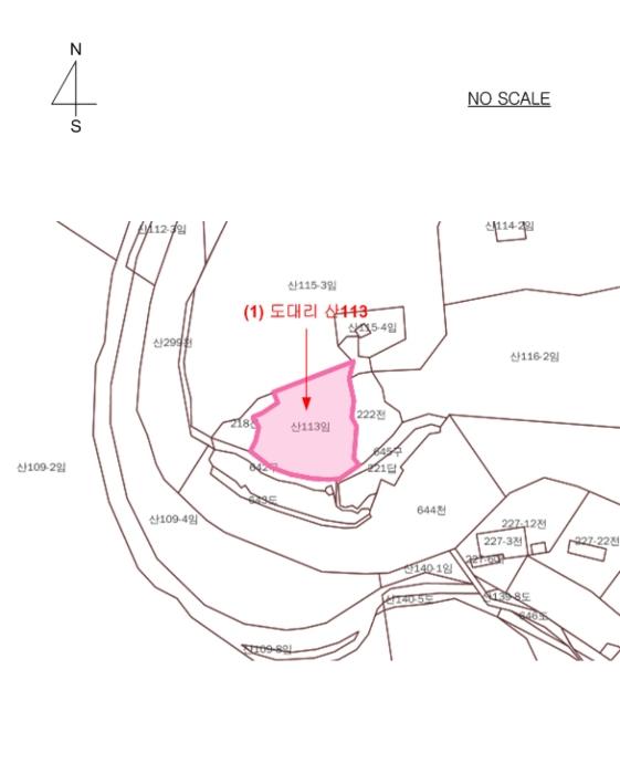 경기도 가평군 북면 도대리 산113 임야 경매 사진 10