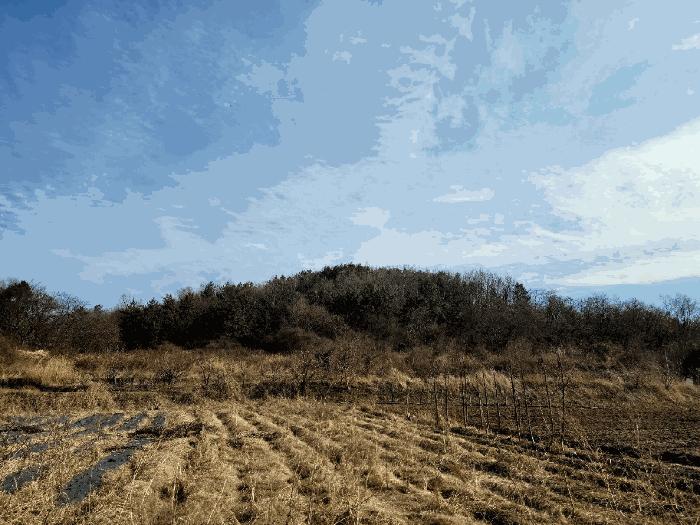 전라남도 영광군 백수읍 지산리 235 전 경매 사진 4