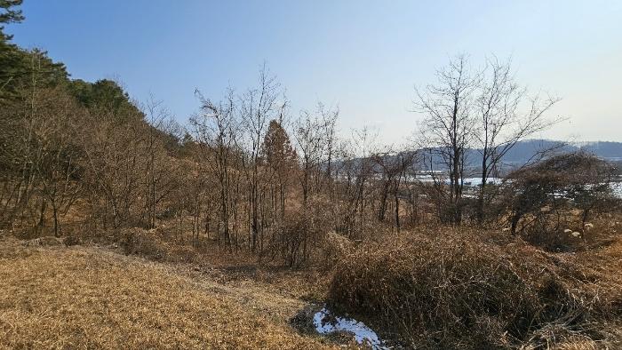 대전광역시 유성구 방동 699-1 전 경매 사진 2