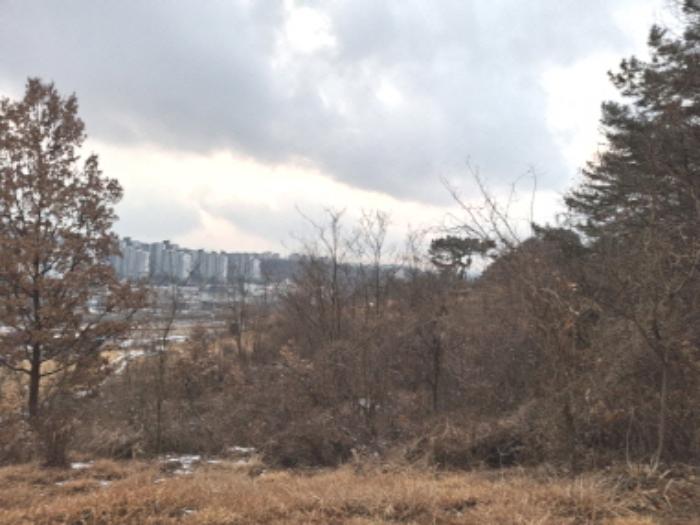 대전광역시 유성구 방동 699-1 전 경매 사진 21