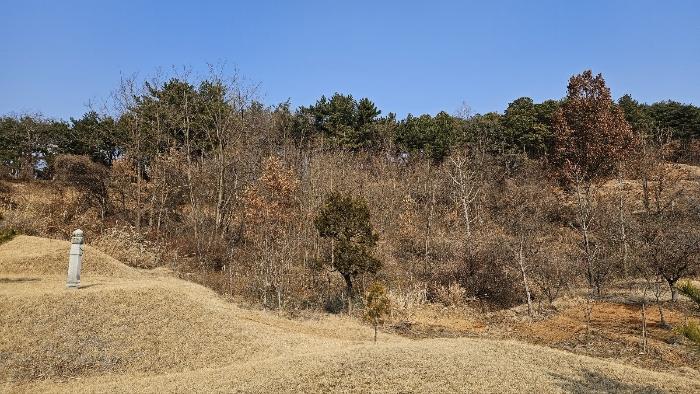 대전광역시 유성구 방동 699-1 전 경매 사진 3