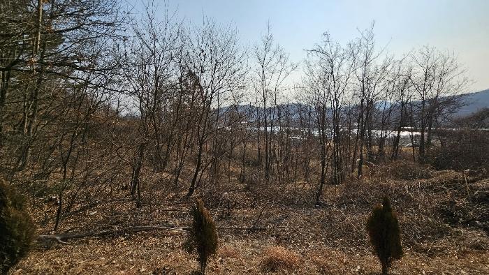 대전광역시 유성구 방동 699-1 전 경매 사진 5