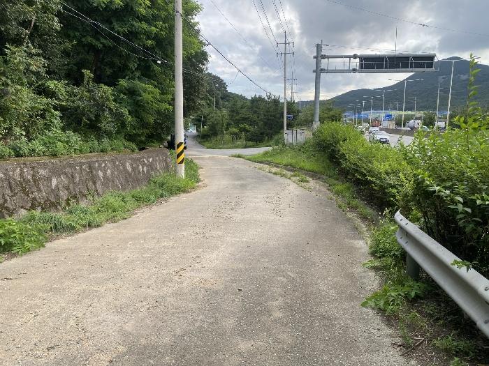 부산광역시 강서구 생곡동 산110 임야 경매 사진 12