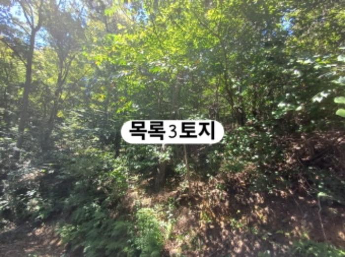 부산광역시 강서구 생곡동 산110 임야 경매 사진 14