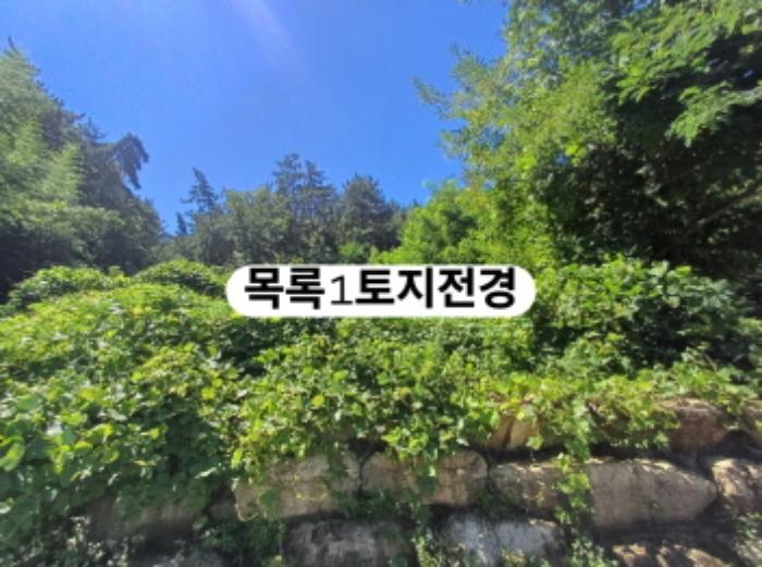 부산광역시 강서구 생곡동 산110 임야 경매 사진 20