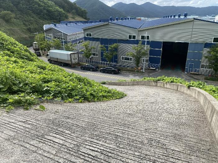 부산광역시 강서구 생곡동 산110 임야 경매 사진 5