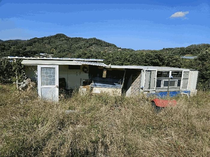 경상남도 함안군 칠북면 봉촌리 산384-2 임야 경매 사진 2