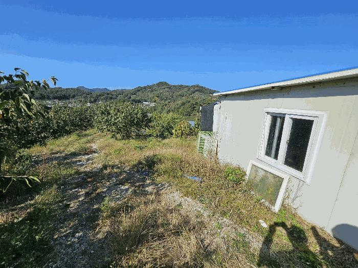 경상남도 함안군 칠북면 봉촌리 산384-2 임야 경매 사진 4