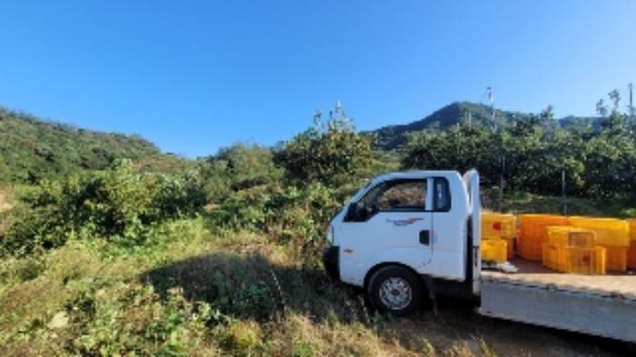 경상남도 함안군 칠북면 봉촌리 산384-2 임야 경매 사진 6