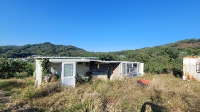 경상남도 함안군 칠북면 봉촌리 산384-2 임야 경매 사진 8