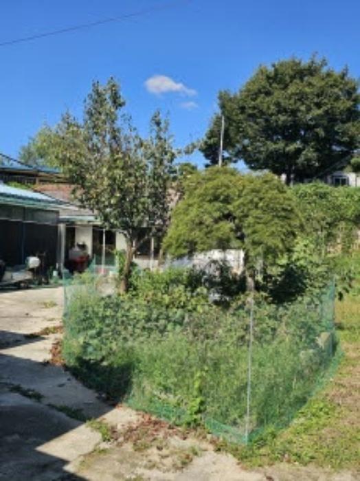충청북도 음성군 감곡면 상우리 522-4 대지 경매 사진 19