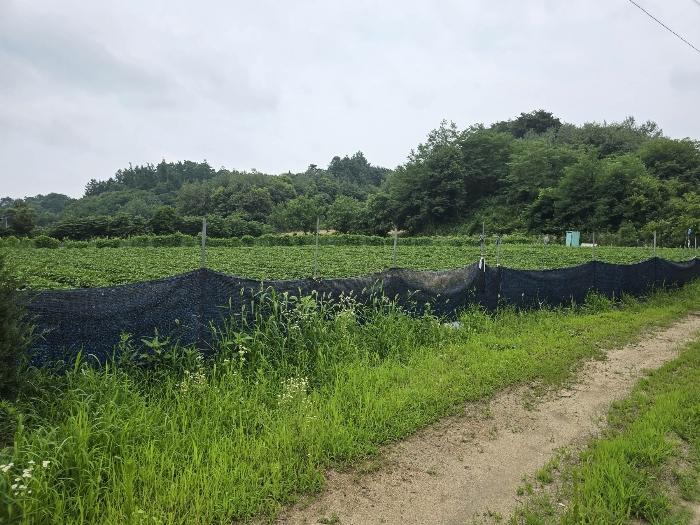 경상북도 영주시 휴천동 910 전 경매 사진 5