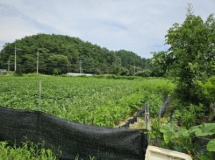 경상북도 영주시 휴천동 910 전 경매 사진 6