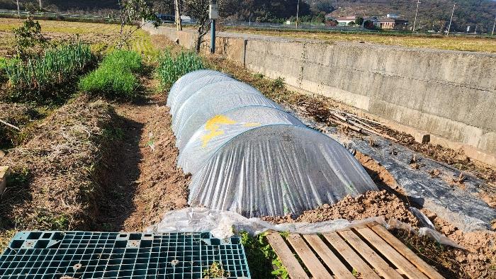경상남도 진주시 대곡면 가정리 93 답 경매 사진 5