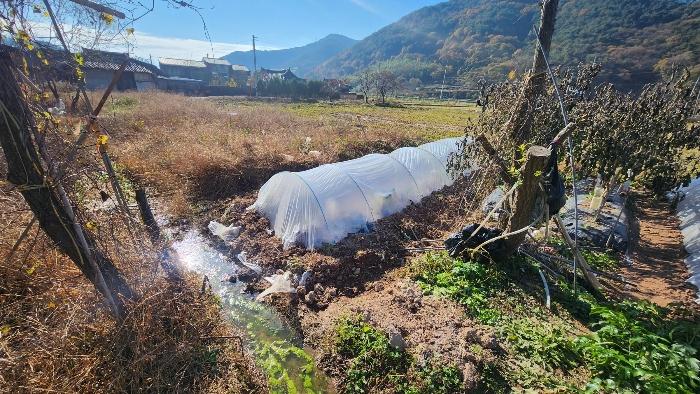 경상남도 진주시 대곡면 가정리 93 답 경매 사진 6