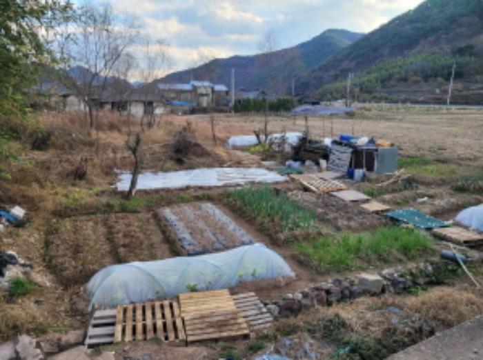 경상남도 진주시 대곡면 가정리 93 답 경매 사진 7