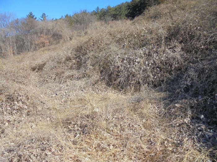 경상남도 밀양시 단장면 구천리 1043 답 경매 사진 5
