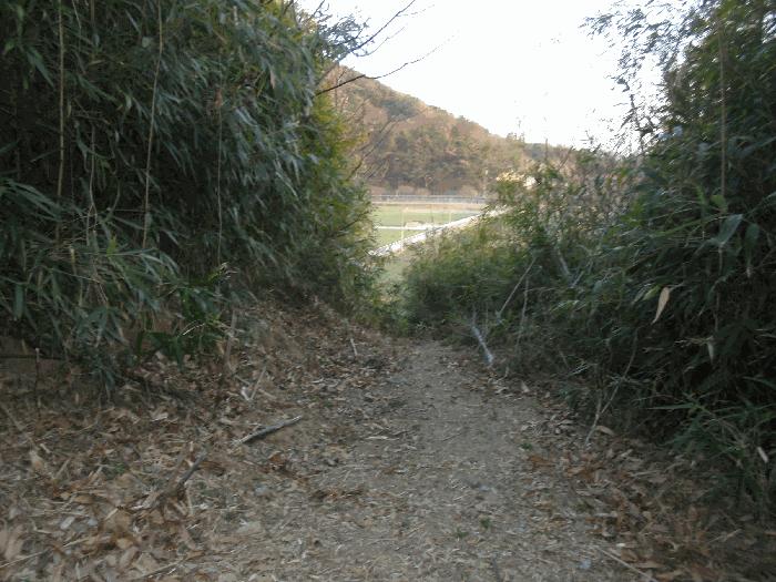 경상남도 창녕군 계성면 신당리 484 전 경매 사진 11