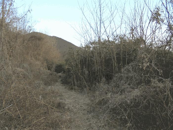 경상남도 창녕군 계성면 신당리 484 전 경매 사진 12