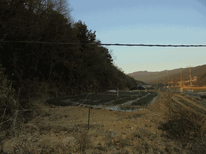 경상남도 창녕군 계성면 신당리 484 전 경매 사진 15